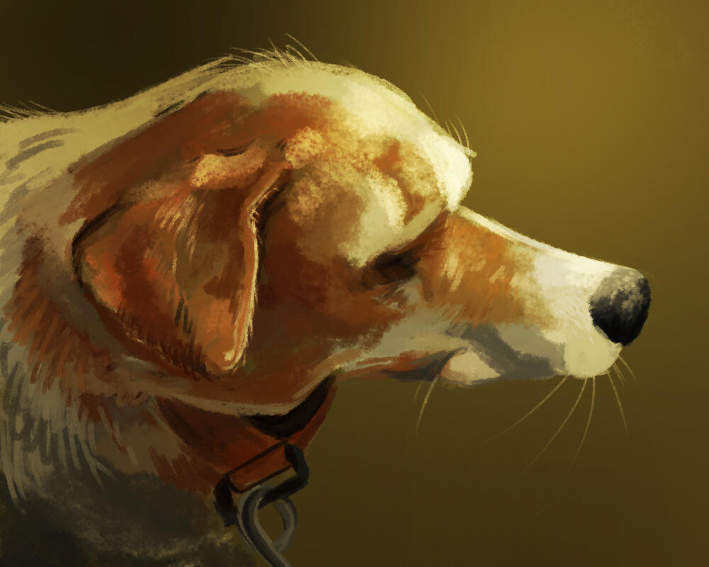 Dog Study (dramatic). Digital. 2019.
